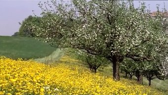 1977年校花:完整体验