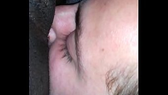 湿润而淫荡:黑色的阴部舔食