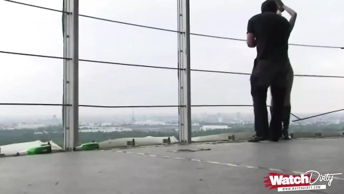 友好的结合:Amy和agent探索快感