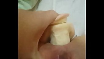 Solace享受独自...