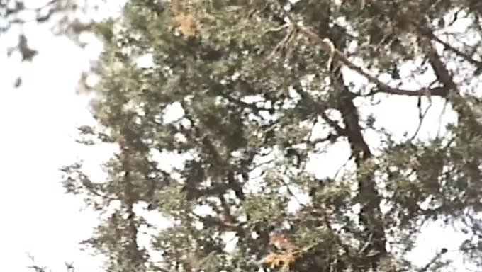吃逼和被狠狠地操
