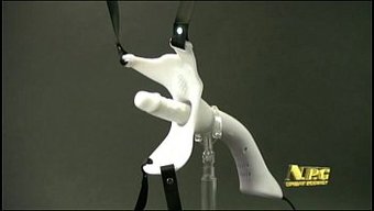 爱的伴侣:日本色情视频