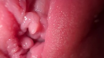 业余女孩张开她的阴户...