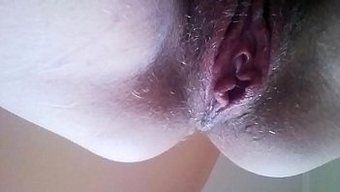 业余湿润的独奏会话,...