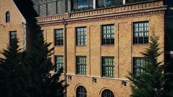 狂野的大学大学生在树...
