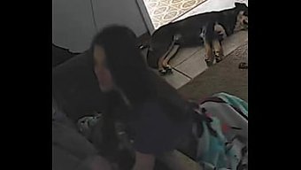 业余妻子在高清中骑着...