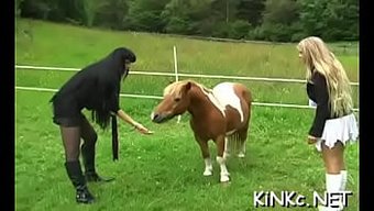在热辣的性爱视频中拳...