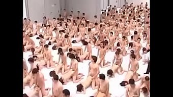 为世界纪录的联合努力,做爱