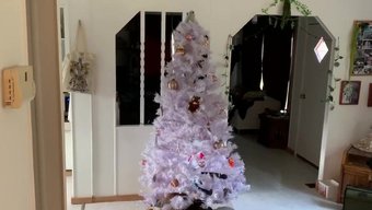 圣诞节早晨肛交和大屁股内射