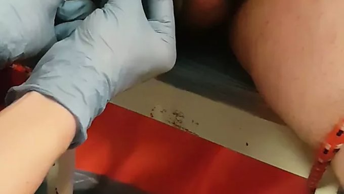 折磨和玩耍:用针头折磨阴茎和睾丸