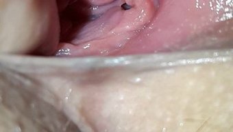 自制jk猫咪:终极恋物癖