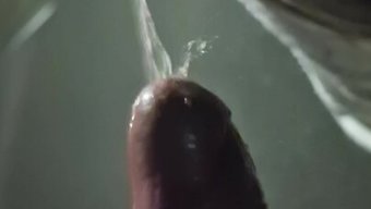 巨大的风险:在公共场合撒尿