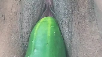 爱猫18和舔阴部