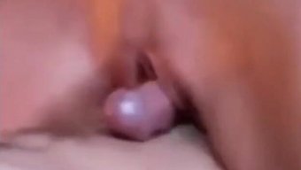 美国业余爱好者的愉悦阴道