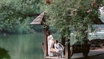 色情片中渴望的情感