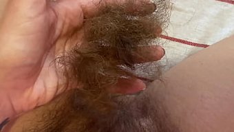 近距离观看我毛茸茸的...
