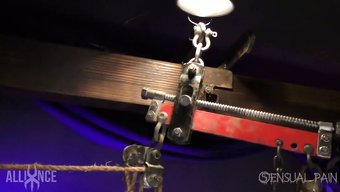 Bdsm视频,特色是...