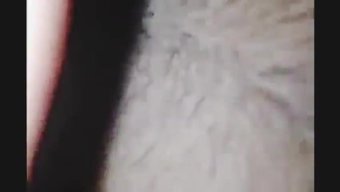 继母勾引丈夫并戴上绿帽。