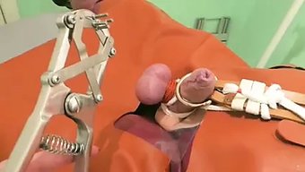 Bdsm阉割:探索快...