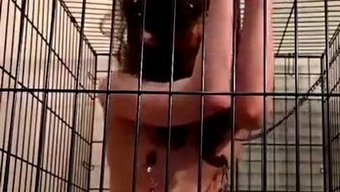 Bdsm阴道:感性的冒险