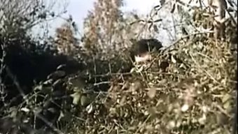 复古故事:红帽1993