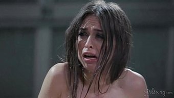 女同性恋狂欢:第六部...
