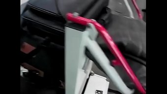 西莫尔·巴茨的欧洲之...