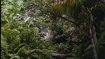 5个强烈的快感场景