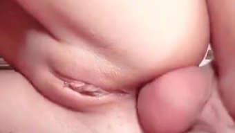 保加利亚的骑乘和吞咽...