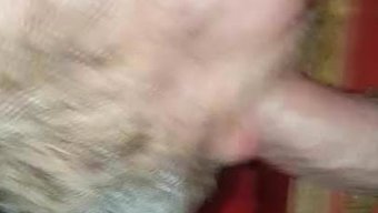 业余荣耀洞口交和口交