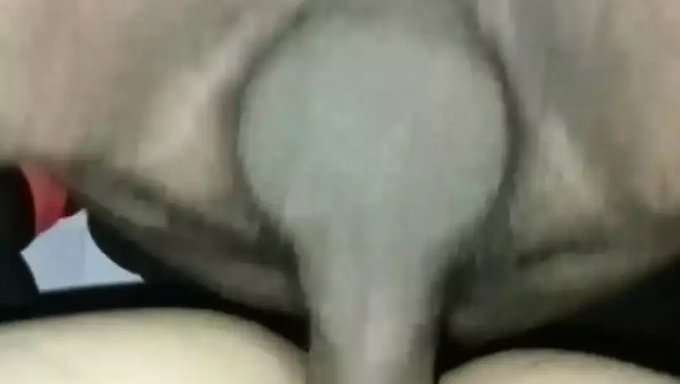 年轻和成熟的女人穿着硬核站立式螺丝钉