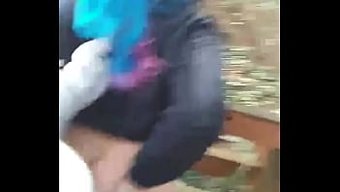在户外寻找梦露