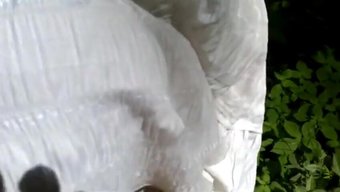 俄罗斯肛交:透视的邂逅