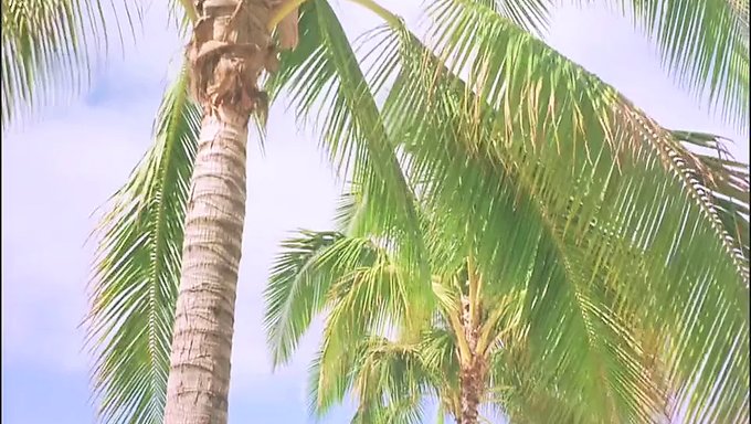 观看jess Franco的情色世界2k Render中的复古口交