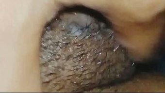真正的孟加拉素人,在...