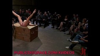 户外阴道嗅探和打屁股
