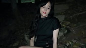 在灌木丛中射精:自制...