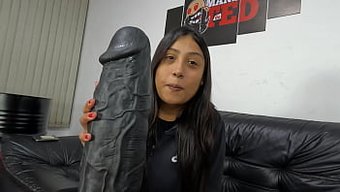 爱丽丝的回归:一个大...