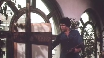 狂野而美妙(1980...