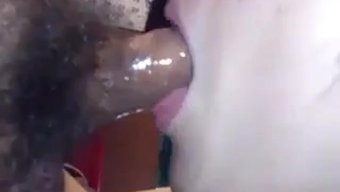 中国女孩嘴里含着精液