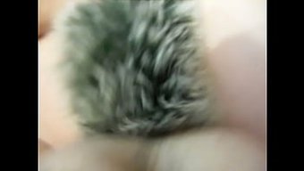 肛交玩具玩弄尾巴屁股塞