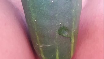 自慰美洲狮勾引,湿漉...