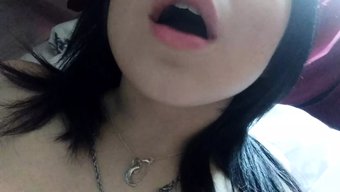 小巧的俄罗斯宝贝的感...