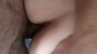 真正的业余爱好者:与...