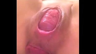 成熟女人私密区域的个...