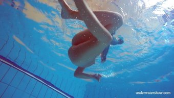 毛茸茸的棕发少女(1...