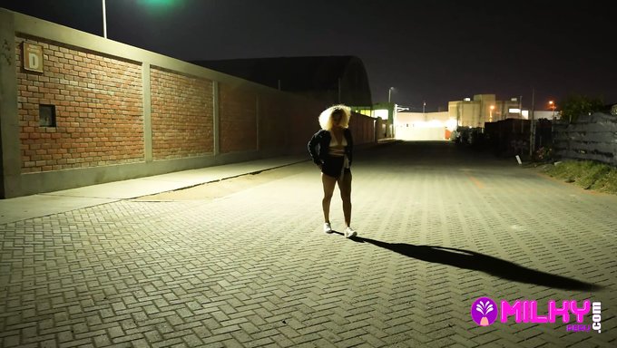 一个诱人的夜晚变成了与一个惊人的棕发女郎的激情邂逅