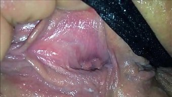 业余妻子湿润闪亮的逼特写。