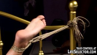 用bdsm和口交驱除...