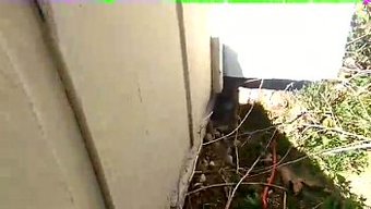 惊讶:室友被使用性玩具抓住